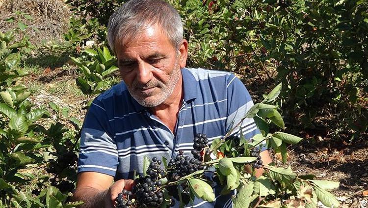 EKONOMİK GELİRE KATKI SAĞLIYOR