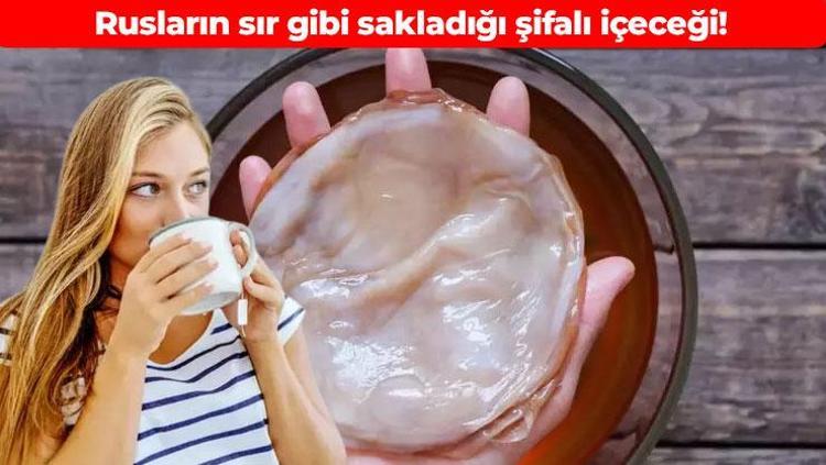 Ruslar çayını bardak bardak içiyor İçindeki bakteriler vücuda şifa oluyor: Bir yudumu kan şekerini yerle bir ediyor, vücudu kolon gibi sağlamlaştırıyor