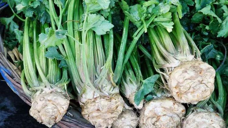 Suyunu içince fazla kilolardan kurtarıyor Meğer zayıflamanın yolu sapından geçiyormuş: 1 haftada 5 kilo verdiriyor