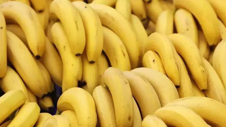 Muzla karıştırıp saça sürün 30 dakika bekletince saç fışkırtıyor: Kıl köklerini coşturuyor, kelliği anında bitiriyor