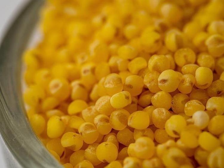 Dünyanın en zengin magnezyum kaynağı oymuş Fosfor, manganez, demir ne varsa onda