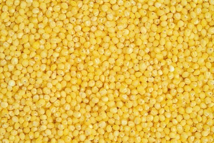 Dünyanın en zengin magnezyum kaynağı oymuş Fosfor, manganez, demir ne varsa onda