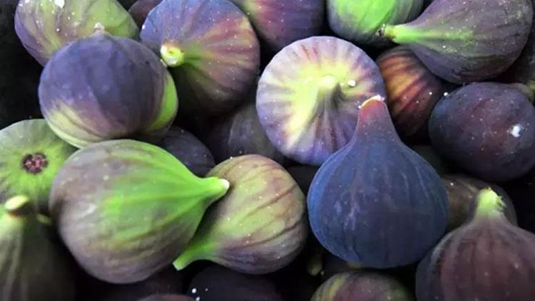 Suda bekletip bardak bardak için Tığ gibi zayıflamak isteyen günlük tüketsin: Bel, basen ve karındaki yağları mıknatıs gibi çekiyor