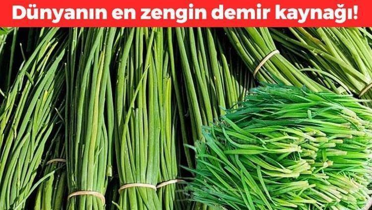 Türkiyede kıymetini bilen yok, Japonların favorisi Erzurumda yetişiyor: Kükürt ve demir zengini, sindirimin en iyi dostu