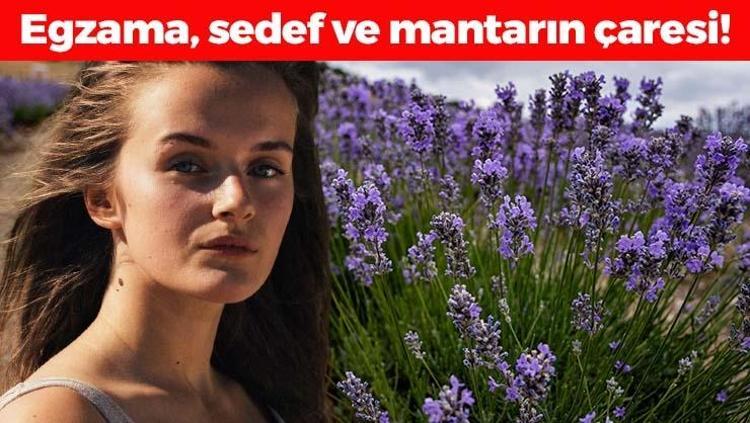 Bitkilerin Profesörü tek tek anlattı Egzama, sedef ve mantarın kökünü kazıyor Ciltteki yaraları iyileştiriyor, Afroditin güzellik iksirinde de varmış