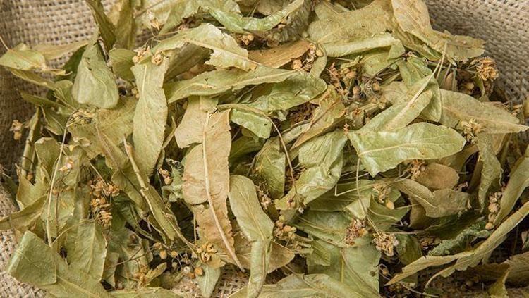 BAĞIŞIKLIK SİSTEMİNİ GÜÇLENDİRİR