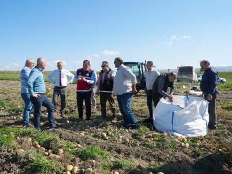 Kastamonuda hasadı devam ediyor Kilosu 15 TL: Bağırsakları motor gibi çalıştırıp basurun kökünü kazıyor, C vitamini deposu