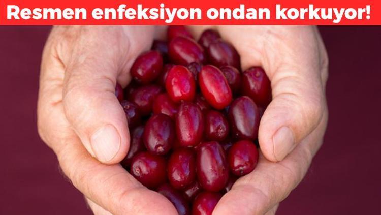 Enfeksiyon ondan korkuyor İdrar yollarını anında temizliyor: Hem bakterilerden arındırıyor hem de kalbi yeniliyor