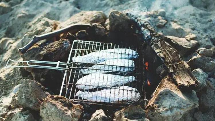 IZGARA YÖNTEMİ