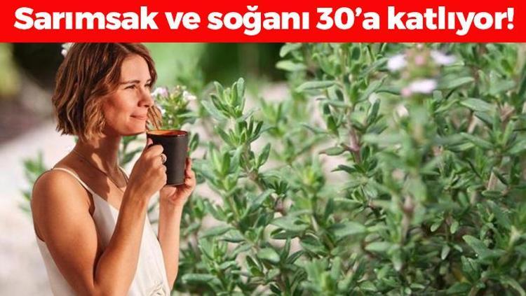 Sarımsak ve soğanı 30a katlayan doğal antibiyotik Öksürük, hırıltı ve balgamı bıçak gibi kesiyor, iltihabın kökünü kurutuyor