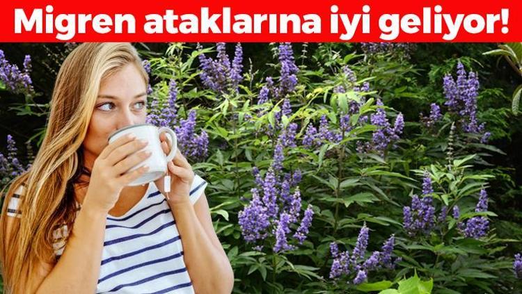 Resmen kadınlar için yaratılmış Bardak bardak içince hormonları terazi gibi dengeliyor: Bağırsakları motora çevirip vücudu da zımba gibi yapıyor