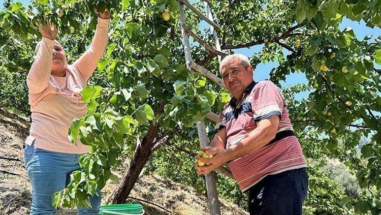 10 LİTRENİN ALTINDA SU İÇEN OLMAZ, BEN KENDİM 15 LİTRE SU İÇERİM