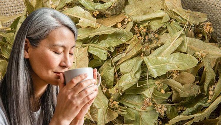 LİMON VE ZENCEFİLLE KAYNATIN