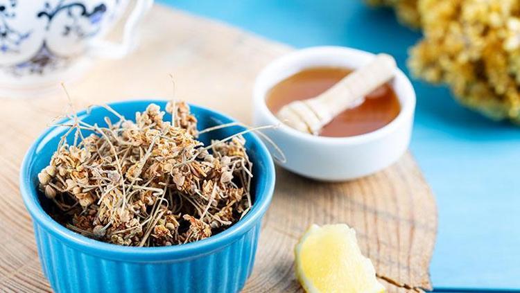 TAZE IHLAMUR KULLANIN