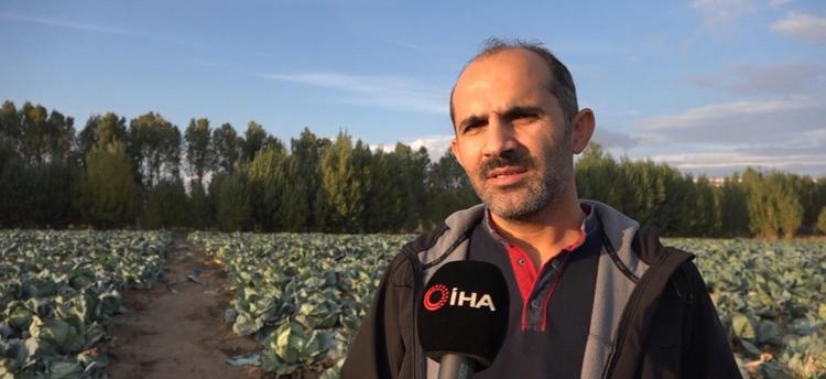Ercişte hasadı başladı Tanesi 50 TL: Canan Karatay dünyanın en sağlıklı yiyeceği diyor Bağırsakları motor gibi çalıştırıyor, yiyen hastalık ne bilmiyor
