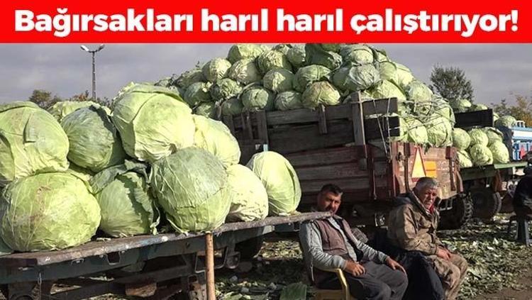 Ercişte hasadı başladı Tanesi 50 TL: Canan Karatay dünyanın en sağlıklı yiyeceği diyor Bağırsakları motor gibi çalıştırıyor, yiyen hastalık ne bilmiyor