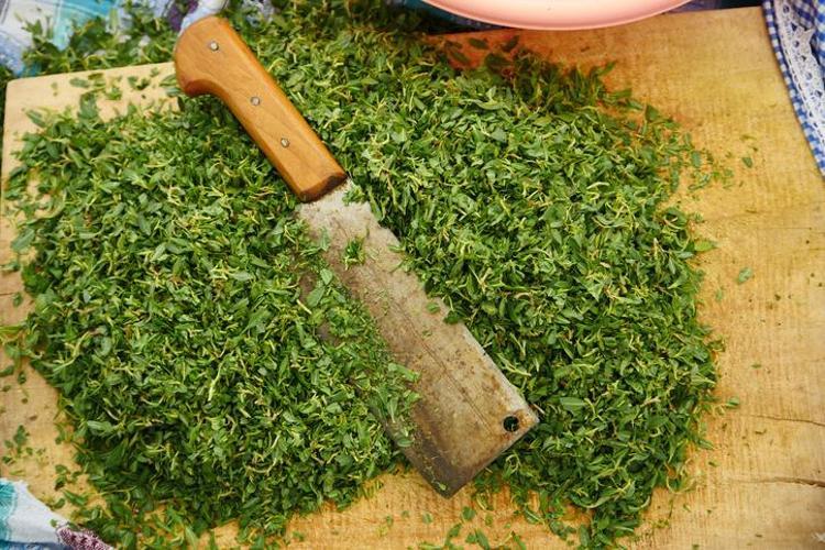 KALBİ KORUR, KOLESTEROLÜ DÜŞÜRÜR