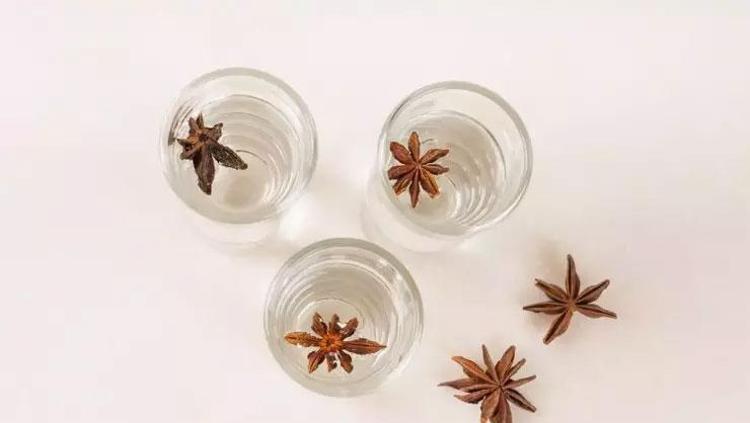 BAĞIŞIKLIĞI GÜÇLENDİRİYOR