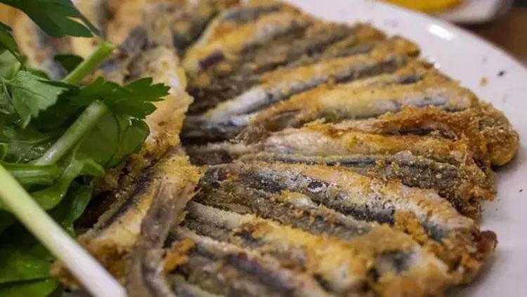 Kanuni Sultan Süleymanın vazgeçilmez besini Mevsiminde tüketince etkisi artıyor: Vücudu omega-3 deposuna çeviriyor