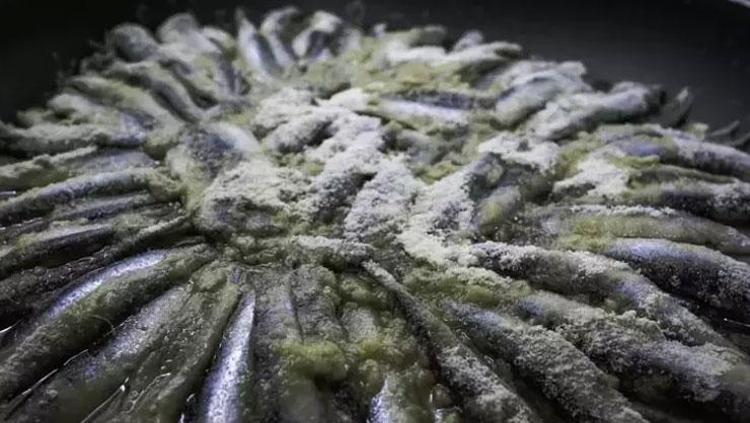 Kanuni Sultan Süleymanın vazgeçilmez besini Mevsiminde tüketince etkisi artıyor: Vücudu omega-3 deposuna çeviriyor