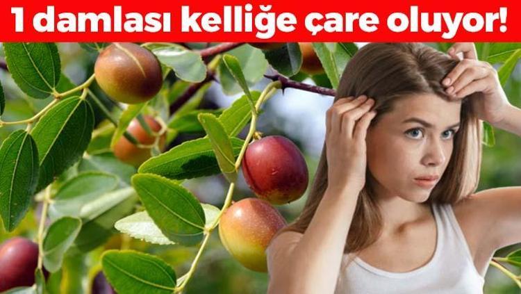 1 damlası kıl köklerini coşturuyor, kelliği tarihe gömüyor Rapunzel gibi saçların sırrı ondaymış, tek seferde ışıl ışıl parlatıyor