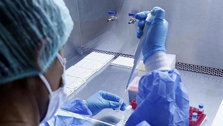 Pandemi sonrasında vaka sayısı arttı Enfeksiyon büyük bir hızla yayılıyor: Bebekler ve aşısız kişiler risk altında