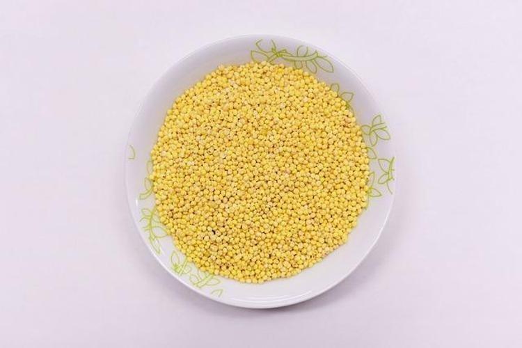 Dünyanın en zengin magnezyum kaynağı oymuş Fosfor, manganez, demir ne varsa onda