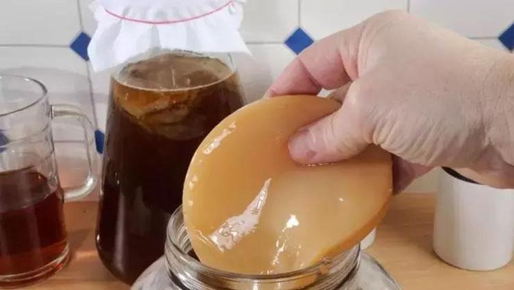 Yağdan kilo verdiren içecek Doğal yollarla zayıflayın: Vücudu probiyotik deposuna çeviriyor