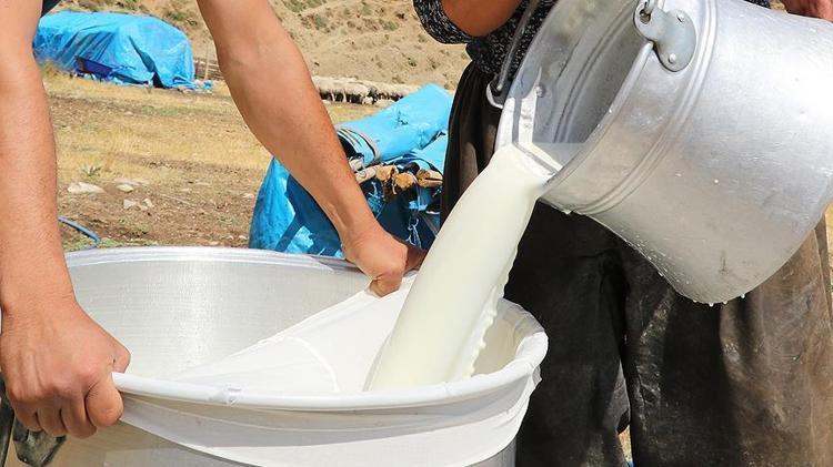 Ayranın içine ekleyenler gözlerine inanamıyor Tansiyonu yere çakıyor, vücuda enerji verip buruş buruş damarları anında açıyor