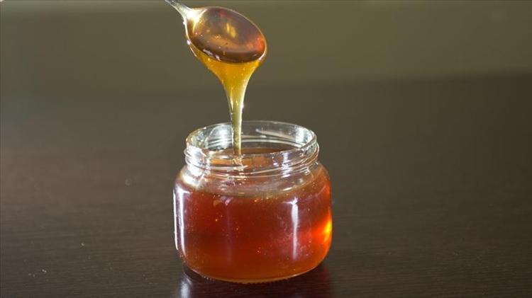 SAHTE BALI EVDE TEST EDEBİLİRSİNİZ