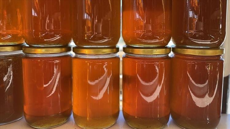 ALEV TESTİ DE SAHTE BALI YAKALAMANIN YOLLARI ARASINDA BULUNUYOR