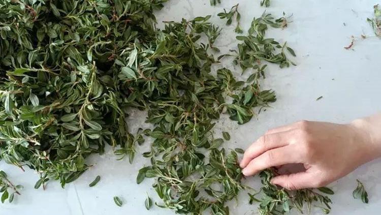 İSTANBULDAN KOMŞULARIM DA KURU MADIMAK İSTİYOR