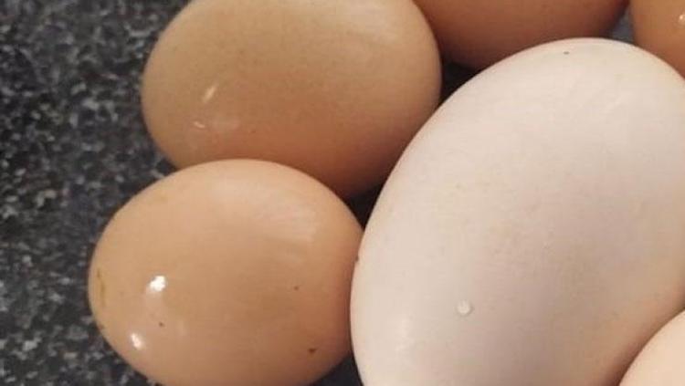 Siyah noktaları ciltten kazıyıp atıyor 1 adedi yetiyor: İpek gibi bir ten mümkün