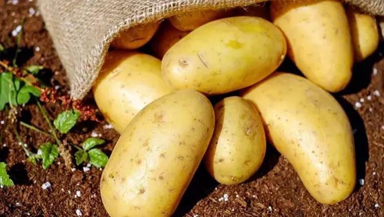 SAĞLIKLI BİR ŞEKİLDE PATATES TÜKETMEK İÇİN NE YAPMALIYIZ