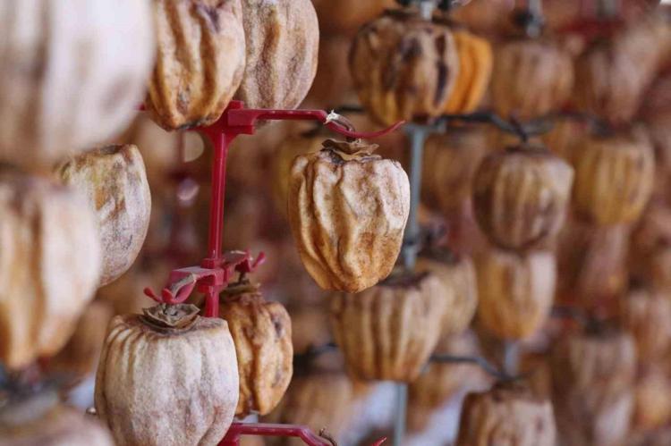 Türkiyenin dört bir yanına kasa kasa satılıyor Antioksidan miktarı açısından en güçlü meyve: Kalp krizi ve felç riskini azaltıyor