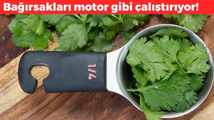 Bağırsakları motor gibi çalıştırıyor Sabahları 1 kaşık yemek yetiyor, lavabo gibi tıkalı bağırsakları açıyor