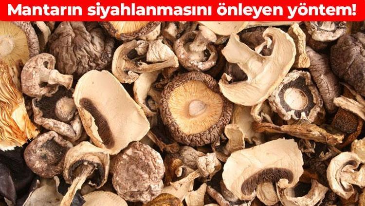 Mantarın siyahlanmasını önleyen yöntem Haftalarca taze kalacak: Suyun içine birkaç damla eklemek yeter