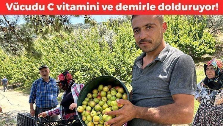 Kilosu 25 TLden satılıyor: Bağırsakları makine gibi çalıştırıp vücudu C vitamini ve demire boğuyor