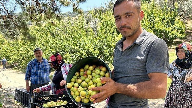 Kilosu 25 TLden satılıyor: Bağırsakları makine gibi çalıştırıp vücudu C vitamini ve demire boğuyor