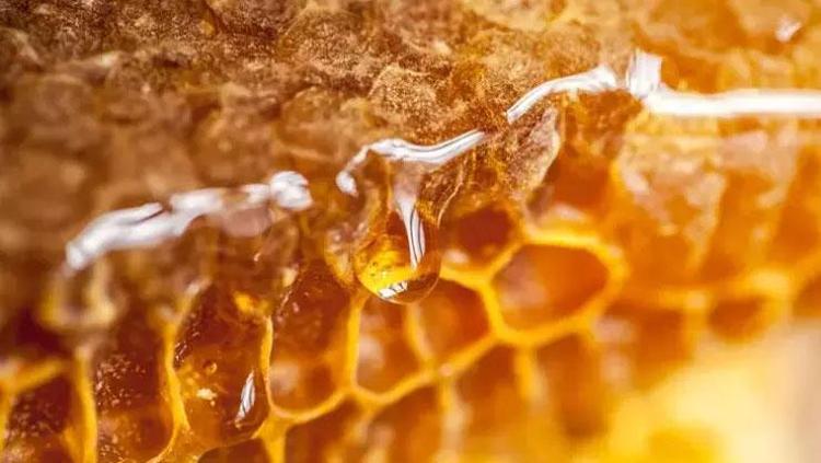 BALIN YUMUŞATICI VE TEDAVİ EDİCİ ÖZELLİĞİ