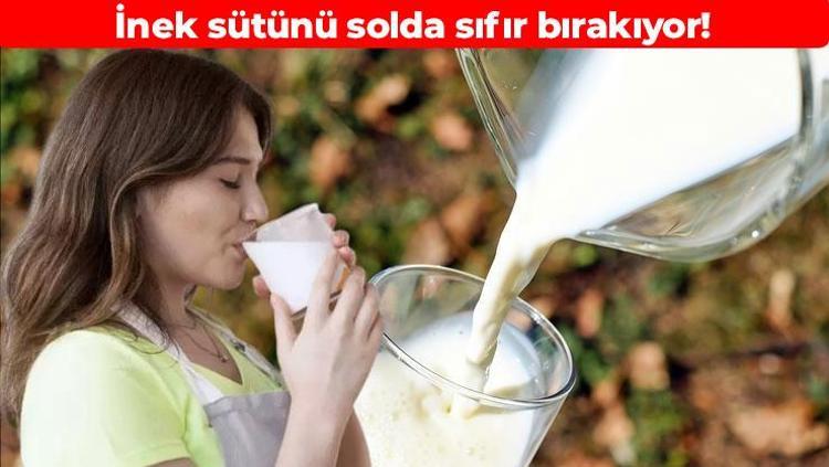 İnek sütünü solda sıfır bırakıyor Vücudu kalsiyum deposuna çeviriyor: Kemik erimesinin önüne geçiyor