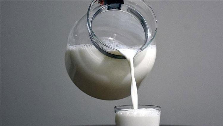 İnek sütünü solda sıfır bırakıyor Vücudu kalsiyum deposuna çeviriyor: Kemik erimesinin önüne geçiyor
