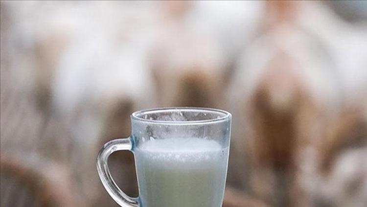 İnek sütünü solda sıfır bırakıyor Vücudu kalsiyum deposuna çeviriyor: Kemik erimesinin önüne geçiyor