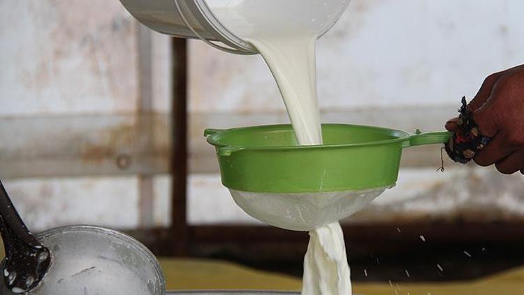 İnek sütünü solda sıfır bırakıyor Vücudu kalsiyum deposuna çeviriyor: Kemik erimesinin önüne geçiyor