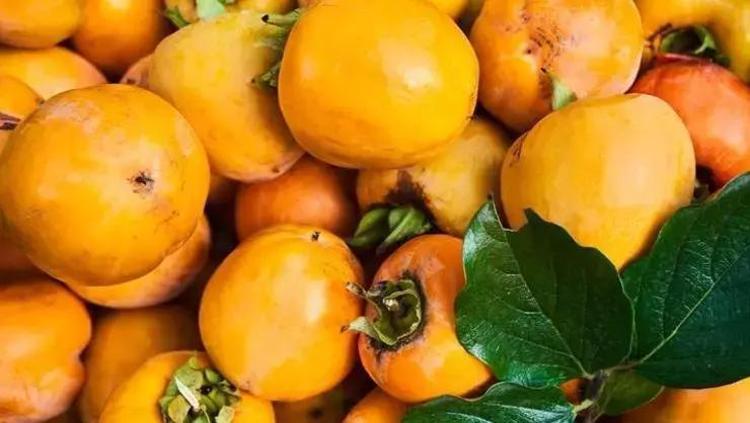 CENNET HURMASININ SAĞLIĞA OLUMSUZ ETKİLERİ