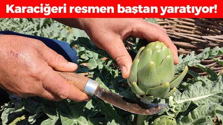 Tanesi sadece 30 TL: Karaciğere reset atıyor, kolesterol seviyelerini anında dibe çekiyor Demir zengini mucize