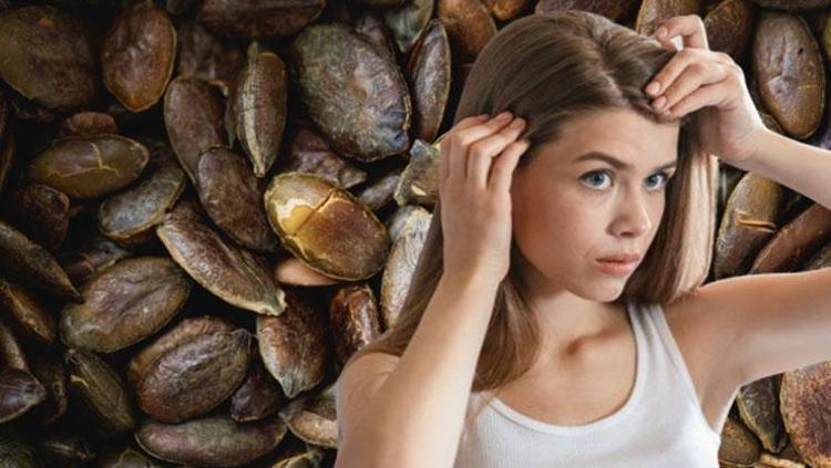 Vücuttaki eksikliği saçları avuç avuç döküyor O besinden günde 1 tane yiyince kelliği önlüyor, vitamin değerlerine zirve yaptırıyor