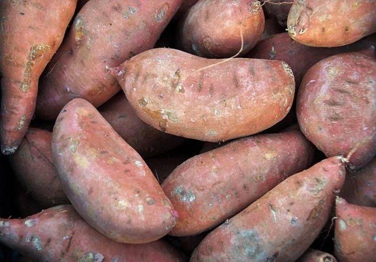 Vücuttaki eksikliği saçları avuç avuç döküyor O besinden günde 1 tane yiyince kelliği önlüyor, vitamin değerlerine zirve yaptırıyor