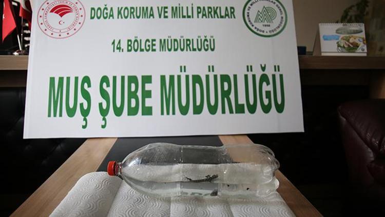 Evinin musluğunu açınca şoke oldu Suyla beraber geldi