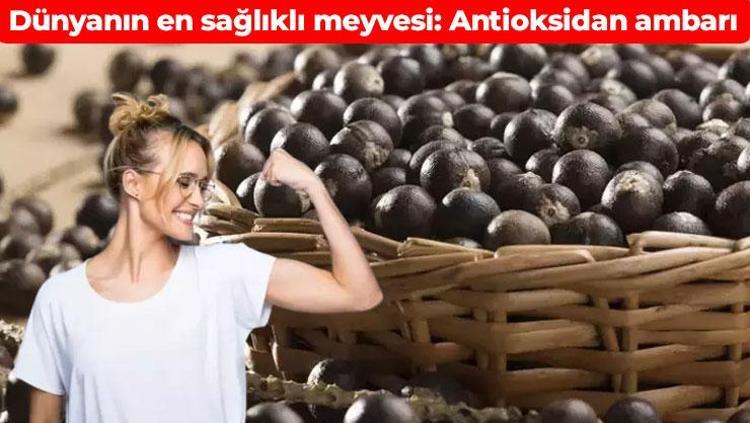 Dünyanın en sağlıklı meyvesi Adeta antioksidan ambarı: Enerji depolarını fullüyor
